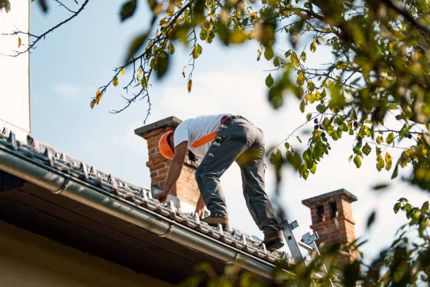 Best Roof Repair Services  in Cordova, AK