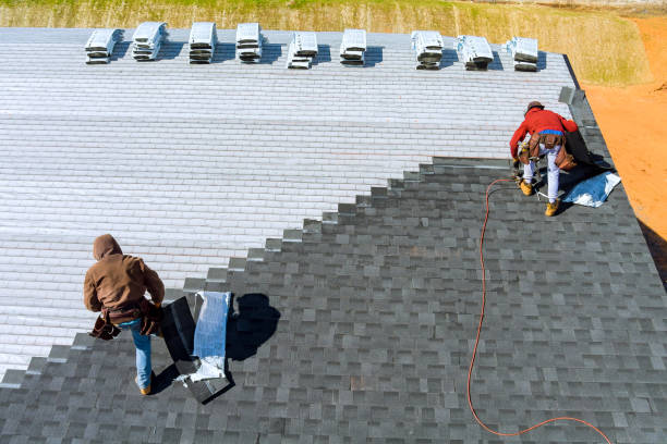 Best Roof Gutter Cleaning  in Cordova, AK